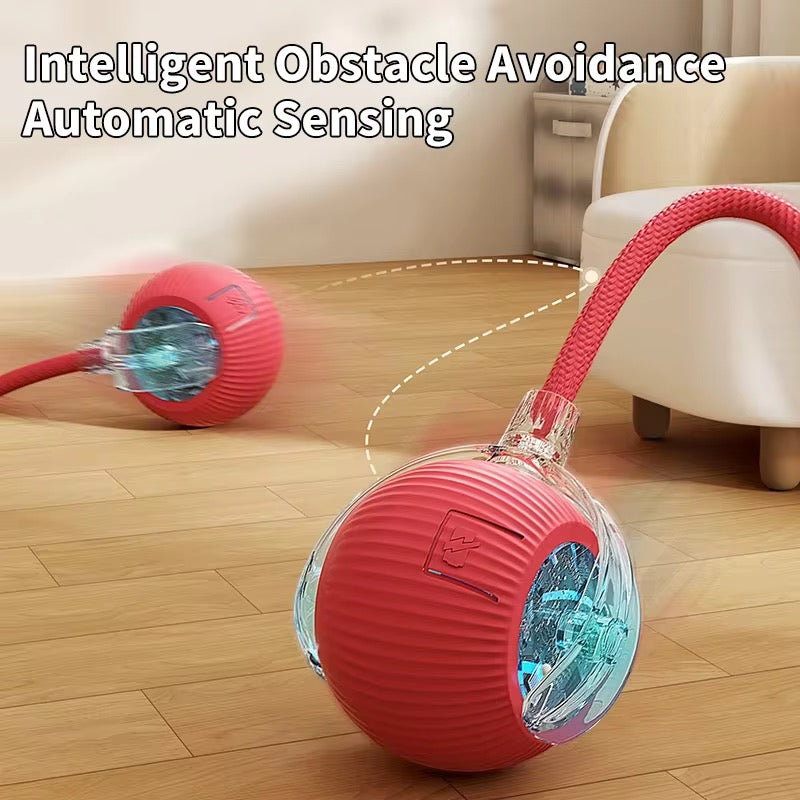SmartPlay™ Interactive Pet Ball