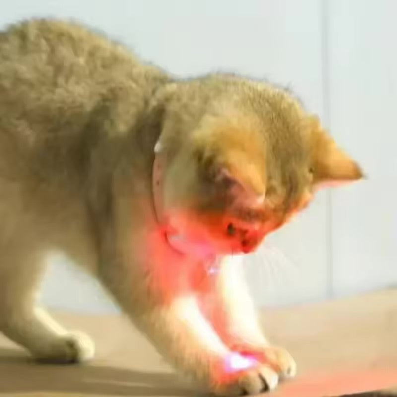 CATSMART™ Smart LED Teasing Collar – Interactive Play & Exercise for Cats