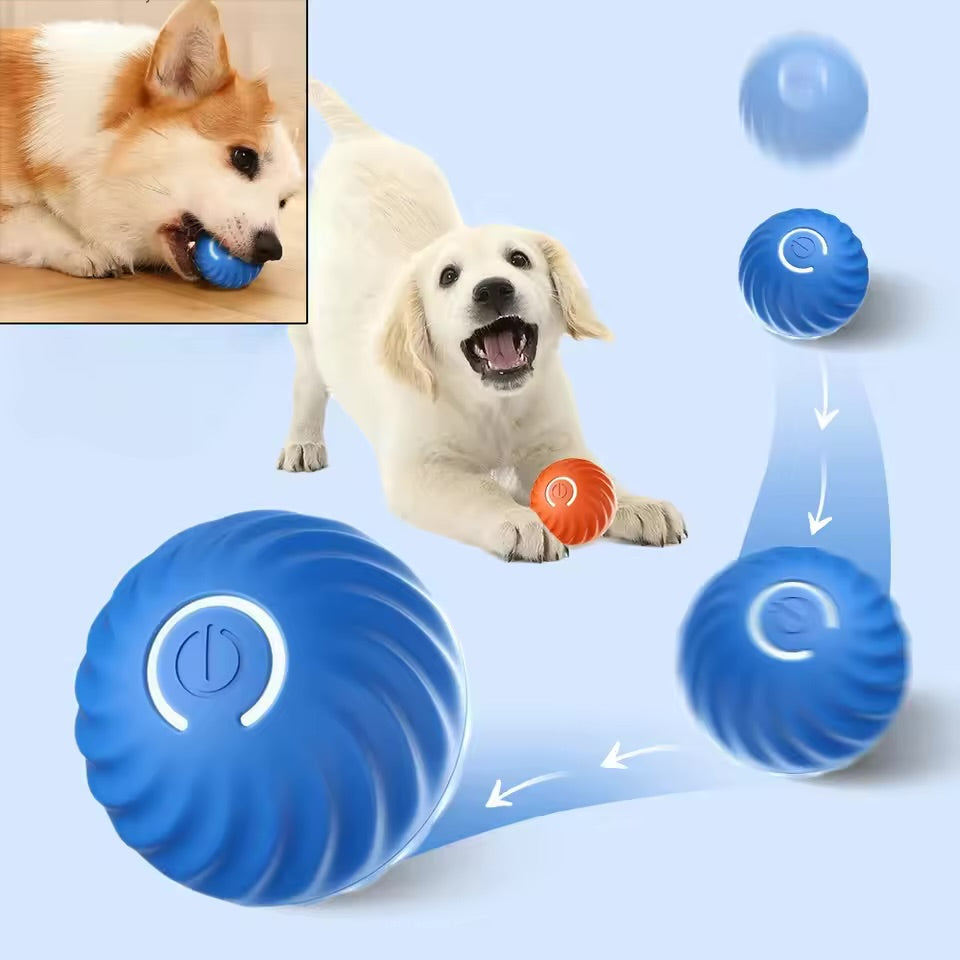 PawPlay™ Automatic Dog Walking Ball (New)