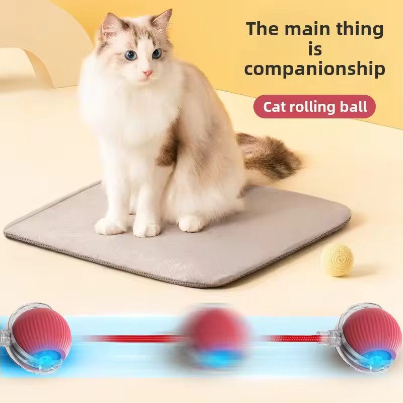 SmartPlay™ Interactive Pet Ball