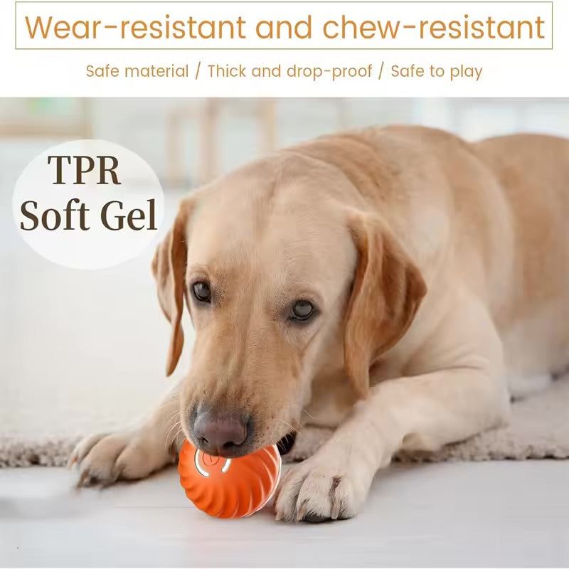 PawPlay™ Automatic Dog Walking Ball (New)