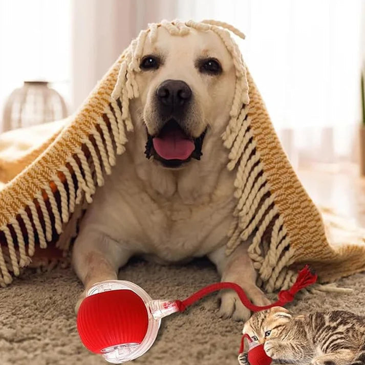 SmartPlay™ Interactive Pet Ball