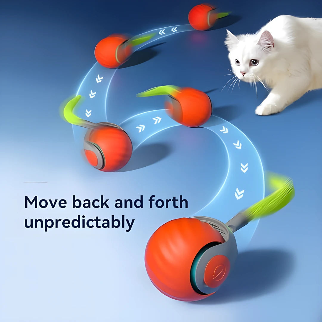 WhiskerChase™ Rolling Ball Cat Toy – Where Fun Never Stops!