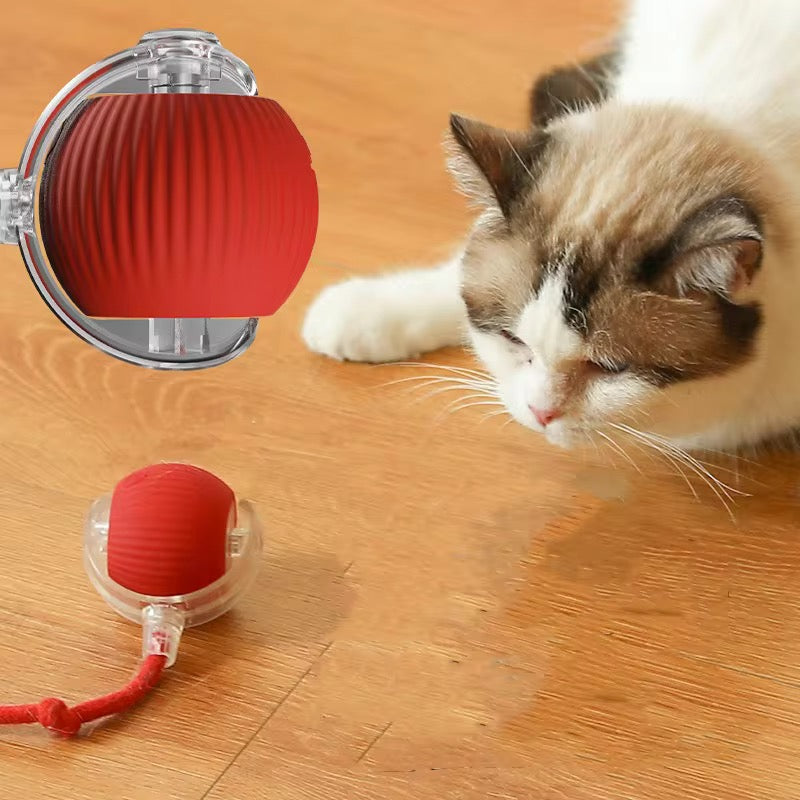 SmartPlay™ Interactive Pet Ball