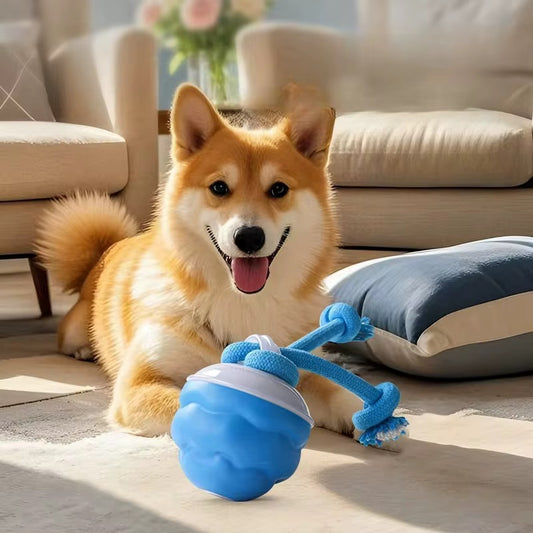 BounceKnot™ Interactive Tug Ball – The Ultimate Chew & Play Toy for Dogs