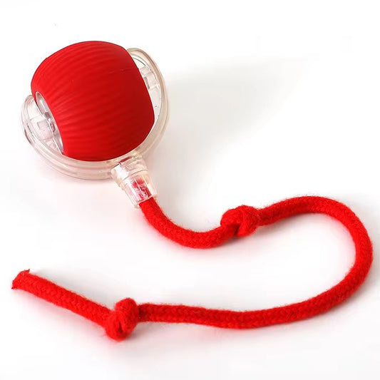 SmartPlay™ Interactive Pet Ball
