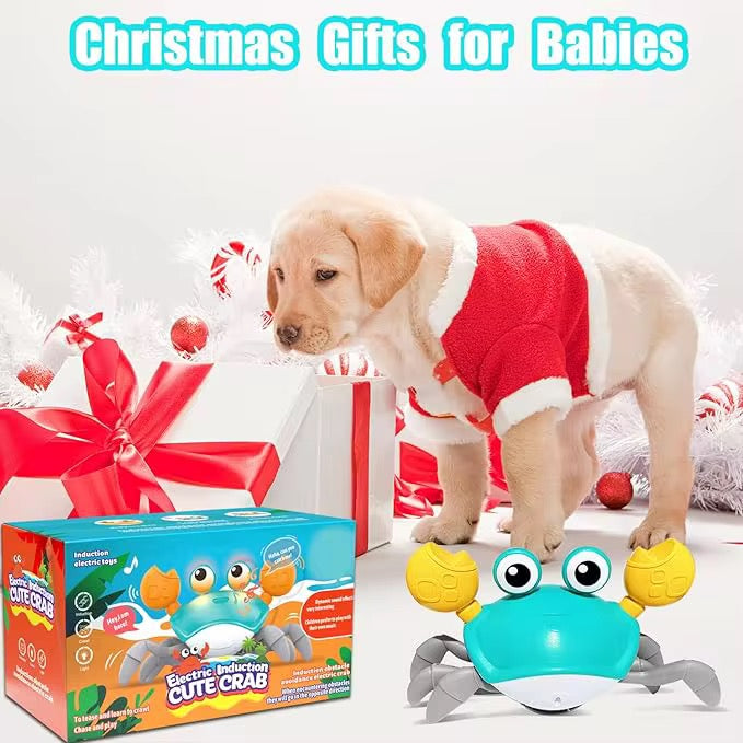 Mr. Krab™ – The Smart Moving Dog Toy