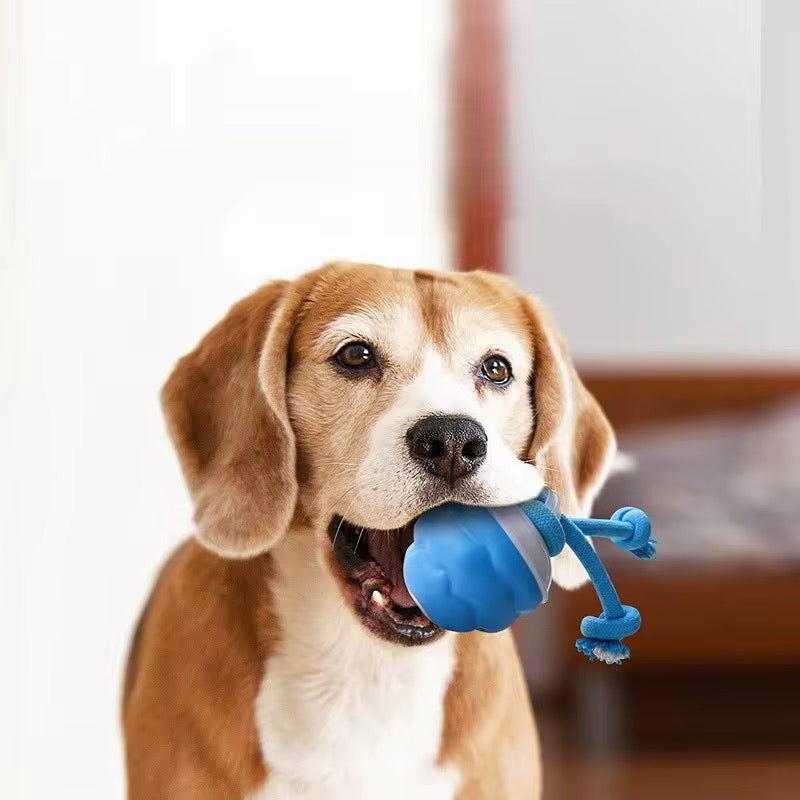 BounceKnot™ Interactive Tug Ball – The Ultimate Chew & Play Toy for Dogs