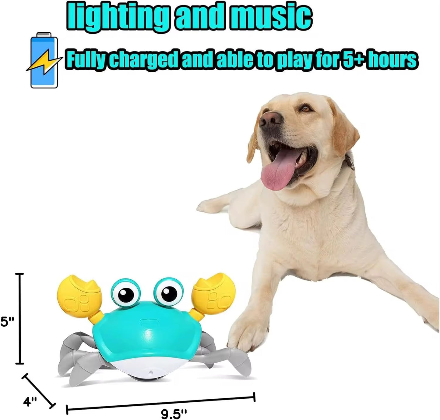 Mr. Krab™ – The Smart Moving Dog Toy