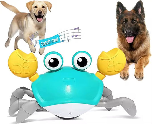 Mr. Krab™ – The Smart Moving Dog Toy